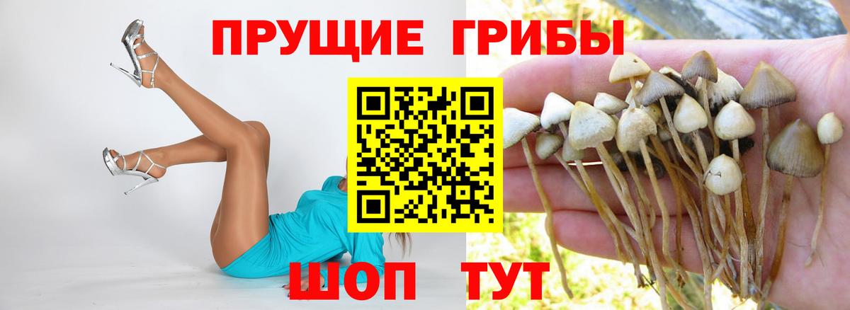 Лабытнанги  Галлюциногенные грибы Psilocybe  Вход с VPN  Псилоцибиновые грибы мухоморы 